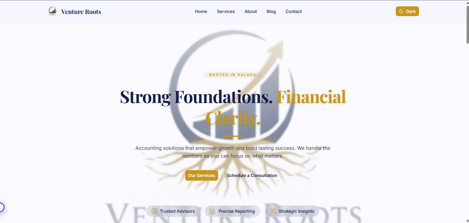 Venture Roots – Digital Infrastructure & Accounting Platform
